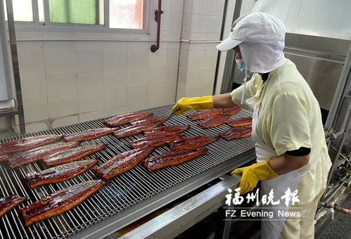 長(zhǎng)樂(lè)全力打造“海上糧倉(cāng)” 研發(fā)水產(chǎn)品預(yù)制菜，提升福州海蚌產(chǎn)業(yè)影響力